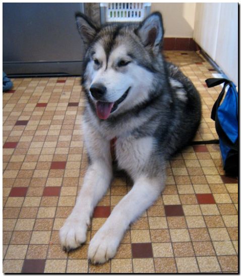 Aleshanee 6-2009 1.jpg